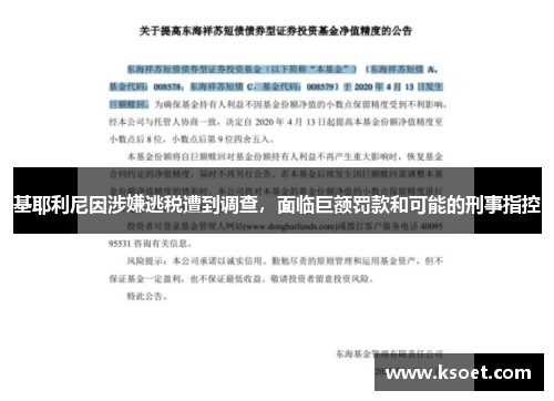 基耶利尼因涉嫌逃税遭到调查，面临巨额罚款和可能的刑事指控